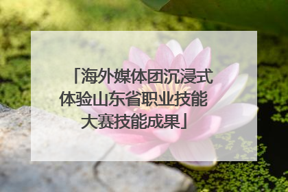 海外媒体团沉浸式体验山东省职业技能大赛技能成果